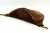 rec leather suede brown detal