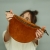 IMG_8035