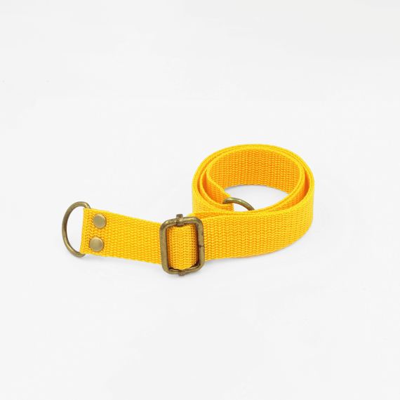 pasek 25 żółty.png