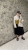 1173B536-EBCE-4B2F-BA23-2ED93F6E4345.jpeg