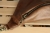 leather-brown-medium-standard detal