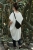 427-wax-black-maxi-2